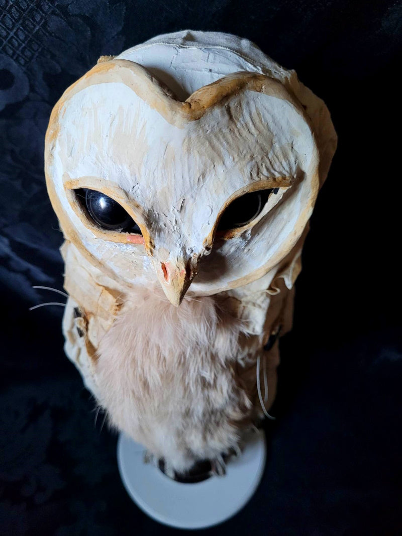 OMBELICO Barn Owl Sculpture