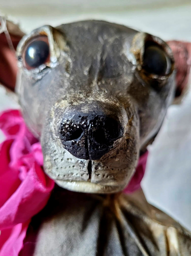 Cookie - Staffy Pet Portrait