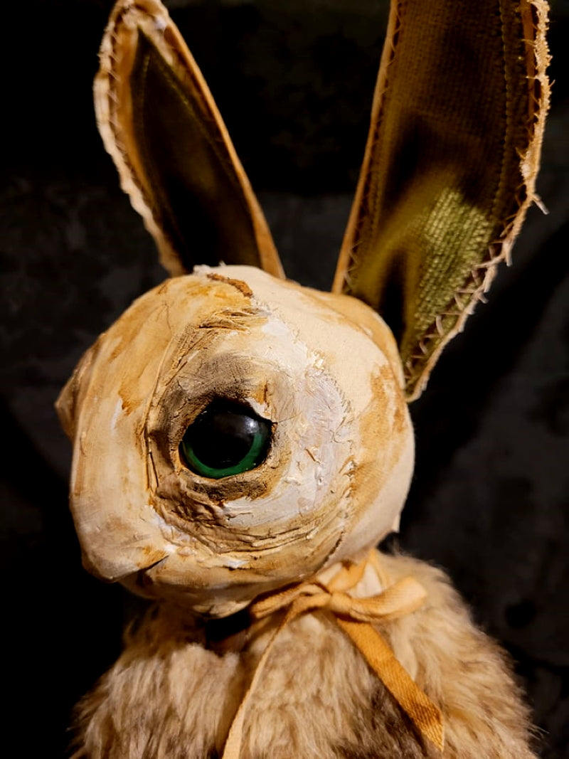 SUNDERLAND Rabbit