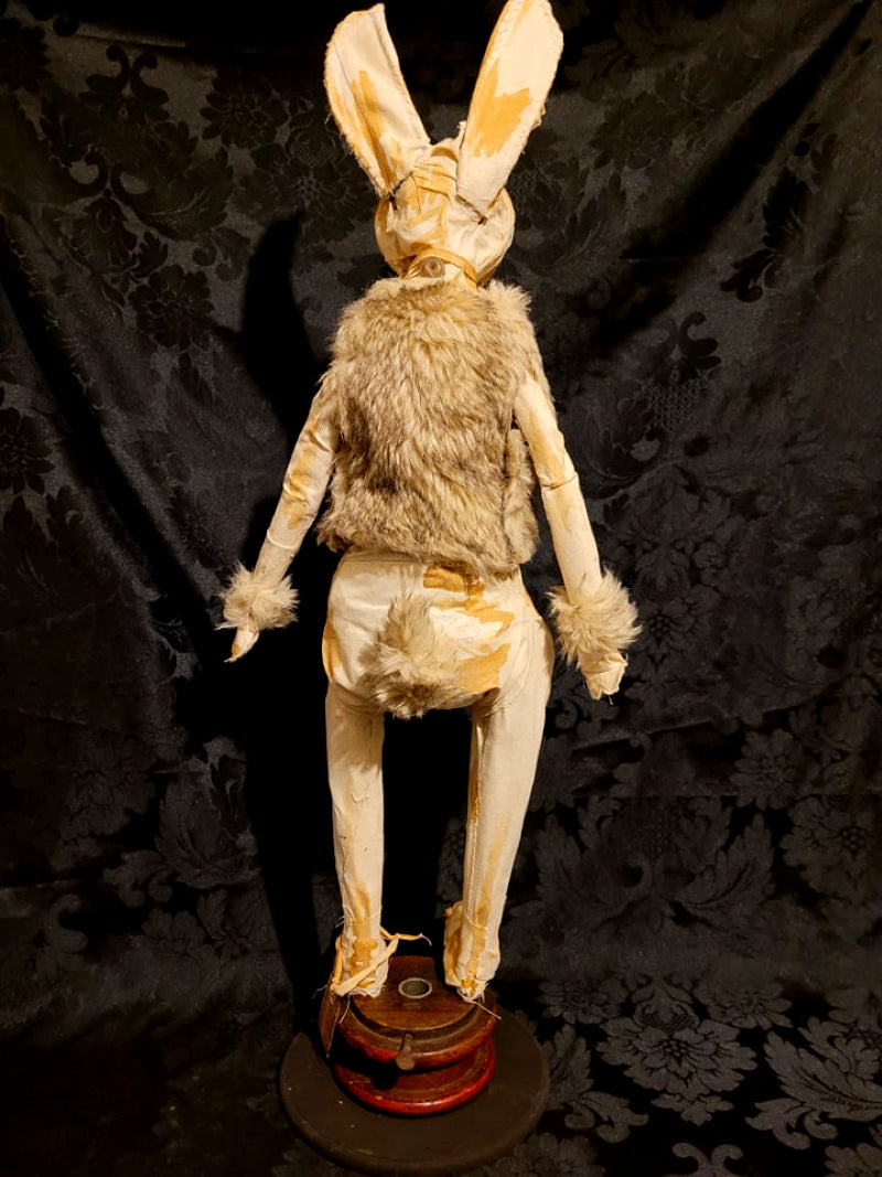SUNDERLAND Rabbit – Hip Hip Decay